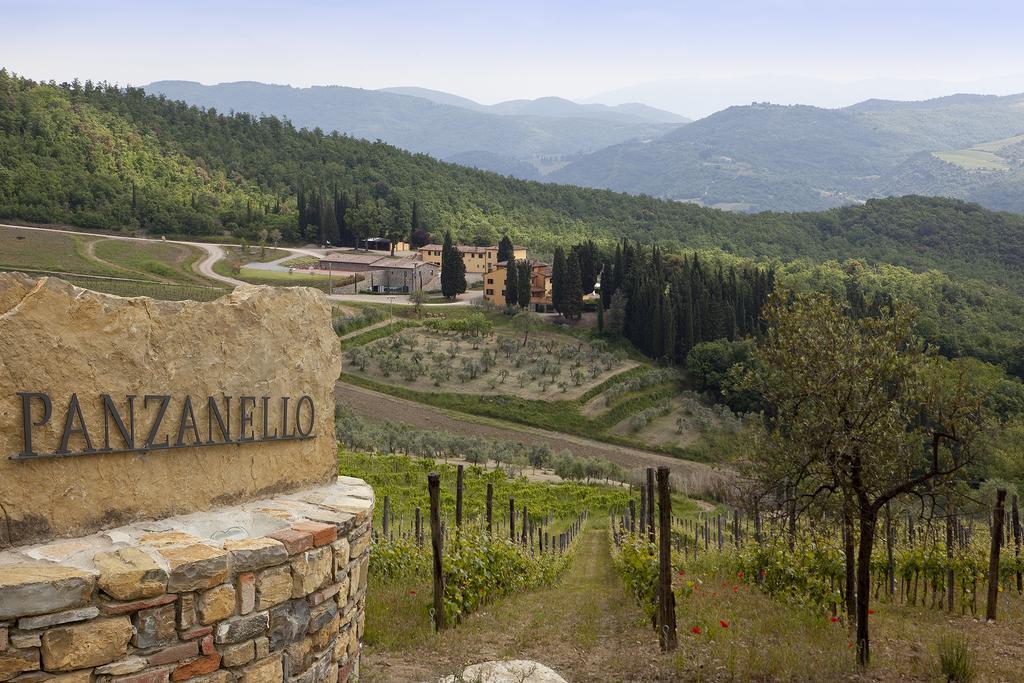 Agriturismo Panzanello Panzano in Chianti Exterior photo
